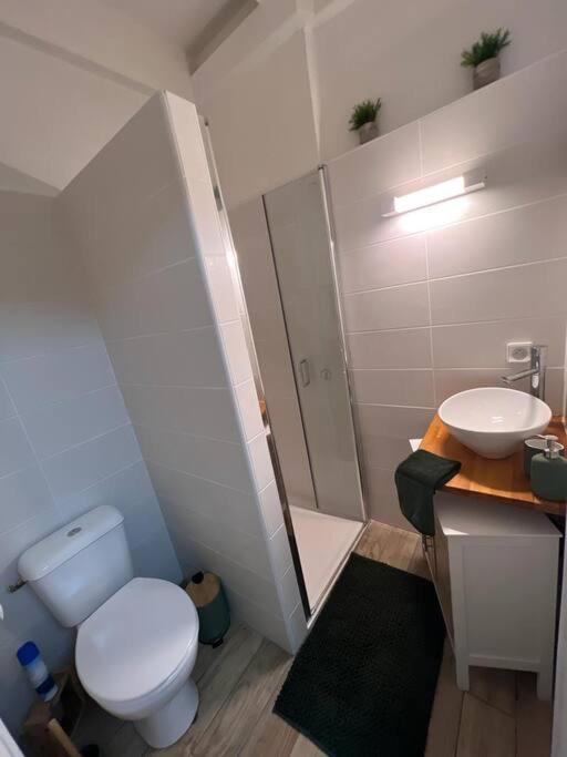 Apartament Casa Tropica Sainte-Anne Zewnętrze zdjęcie